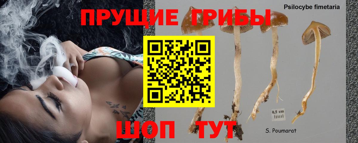 Псилоцибиновые грибы MAGIC MUSHROOMS  даркнет сайт  Белорецк  Вход с VPN 